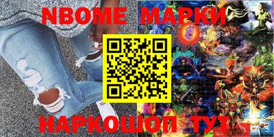 шишки Донской