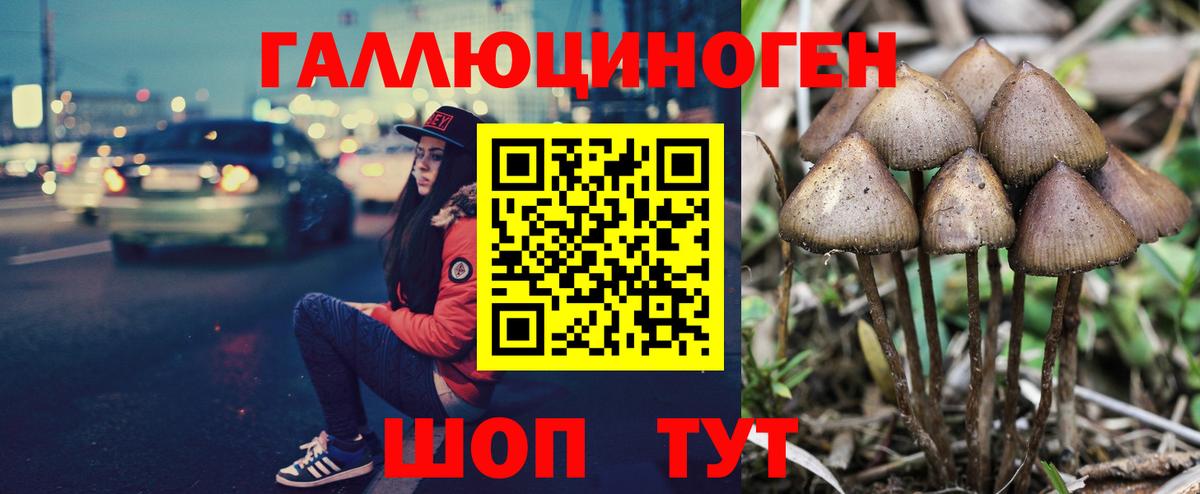 Протвино  купить  сайты  Галлюциногенные грибы ЛСД  Вход с VPN  Галлюциногенные грибы Psilocybe 